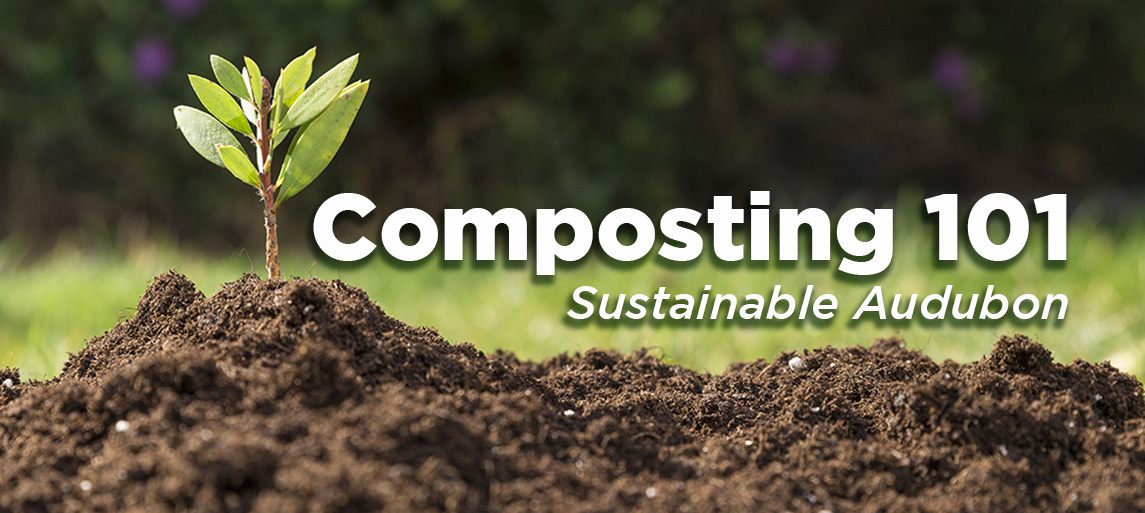 Composting 101