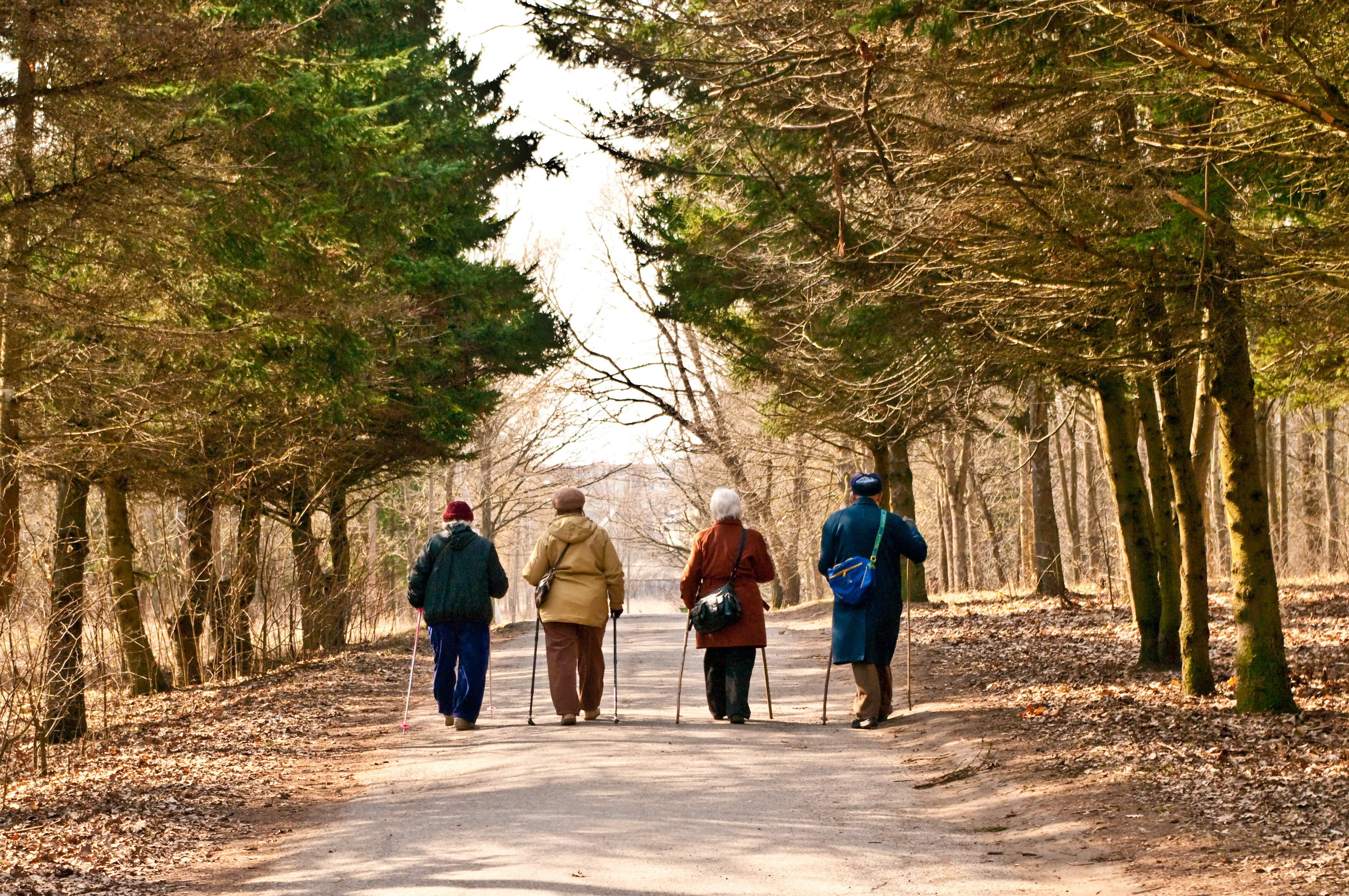 Mindful Walking Group