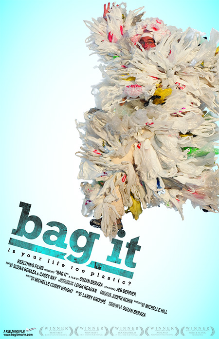 Bag-It Movie Presentation & Reusable Bag Craft