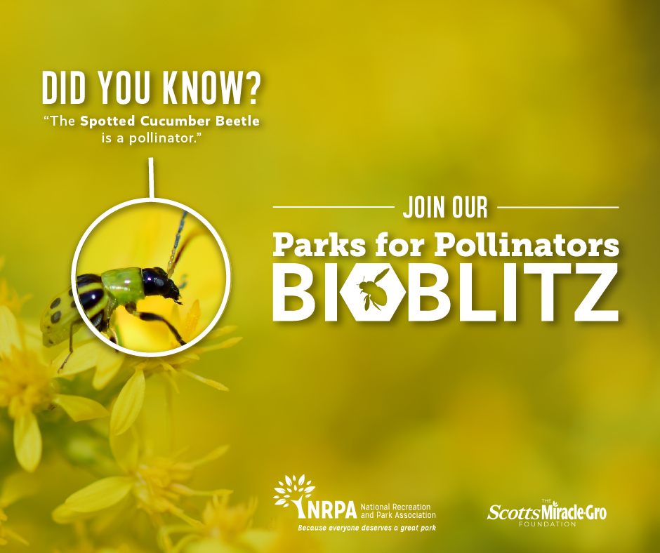 Parks for Pollinators BioBlitz