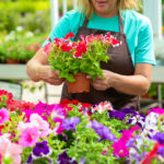 Sustainable Audubon Flower Sale