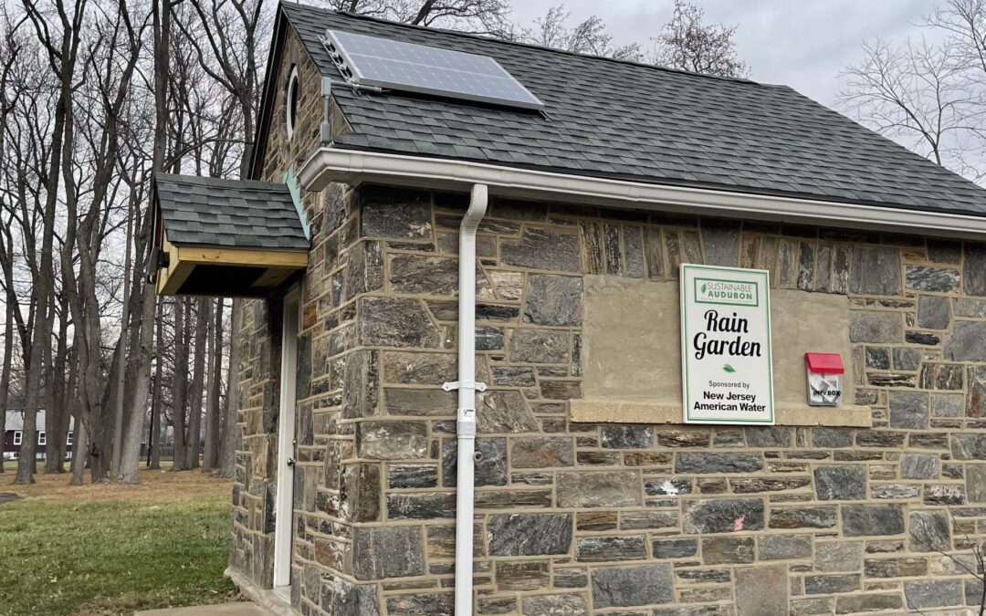 Solar Panel Installation at the Sustainable Shed