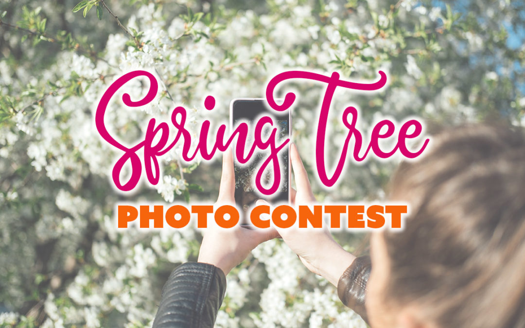 Spring Tree Photo Contest
